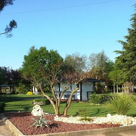 Dogana Vecchia - & Ristorante & Pizzeria Hotel