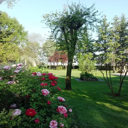 Hotel Dogana Vecchia - & Ristorante & Pizzeria