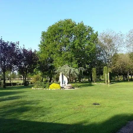 Dogana Vecchia - & Ristorante & Pizzeria